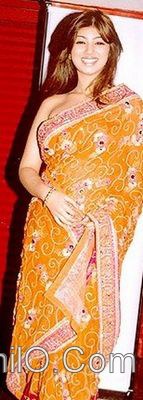 Bollywood_actress_in_Saree34.jpg
