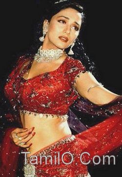 Bollywood_actress_in_Saree41.jpg