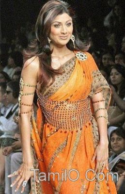 Bollywood_actress_in_Saree54.jpg