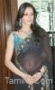 Bollywood_actress_in_Saree19.jpg