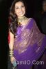 Bollywood_actress_in_Saree30.jpg