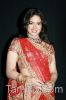 Bollywood_actress_in_Saree33.jpg