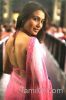 Bollywood_actress_in_Saree49.jpg
