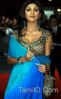 Bollywood_actress_in_Saree55.jpg