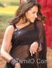 Bollywood_actress_in_Saree56.jpg