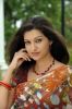 Indian_Hot_actress_Hamsa_Nadhini5.jpg