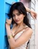 02Hind_actress_Neha_Sharma_Photos02.jpg