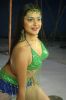 Hot-sexy-photos-Tamil-actress-Nicole2.jpg