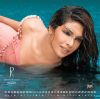 Bollywood-Hot-sexy-Actress-Priyanka-Chopra13.jpg