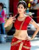 Bollywood__Hot_Actress_Rithima02~0.jpg