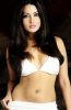 Bollywood-Hot-sexy-Actress-Riya-Sen17.jpg