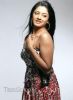 Bollywood__Hot_Actress_Vimala_Raman03.jpg