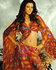 Sexy_hindi_film_actress-Geeta-Basra17.jpg