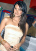 Sexy_hindi_film_actress-Geeta-Basra6.jpg